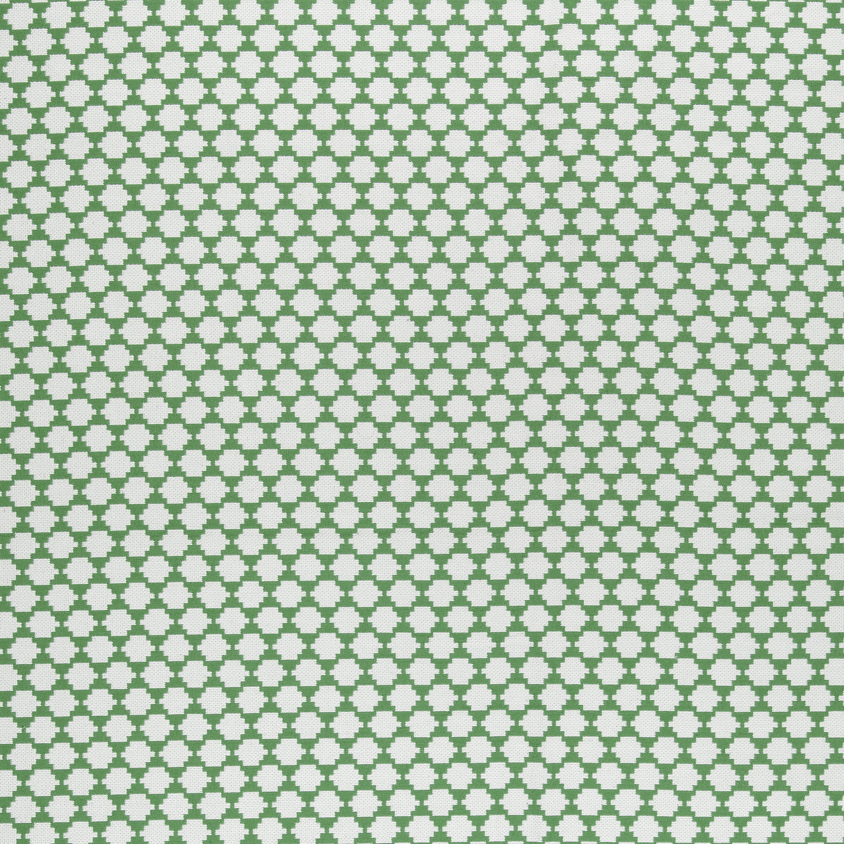 Thibaut W775452 BIJOU Green Fabric