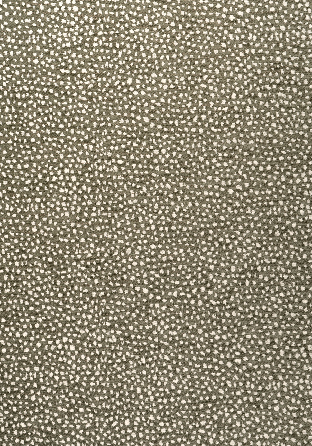 Thibaut W78349 FAWN Hickory Fabric