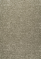 Thibaut W78349 FAWN Hickory Fabric