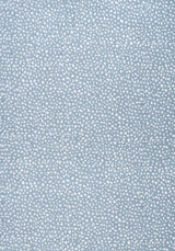 Thibaut W78353 FAWN Sky Fabric