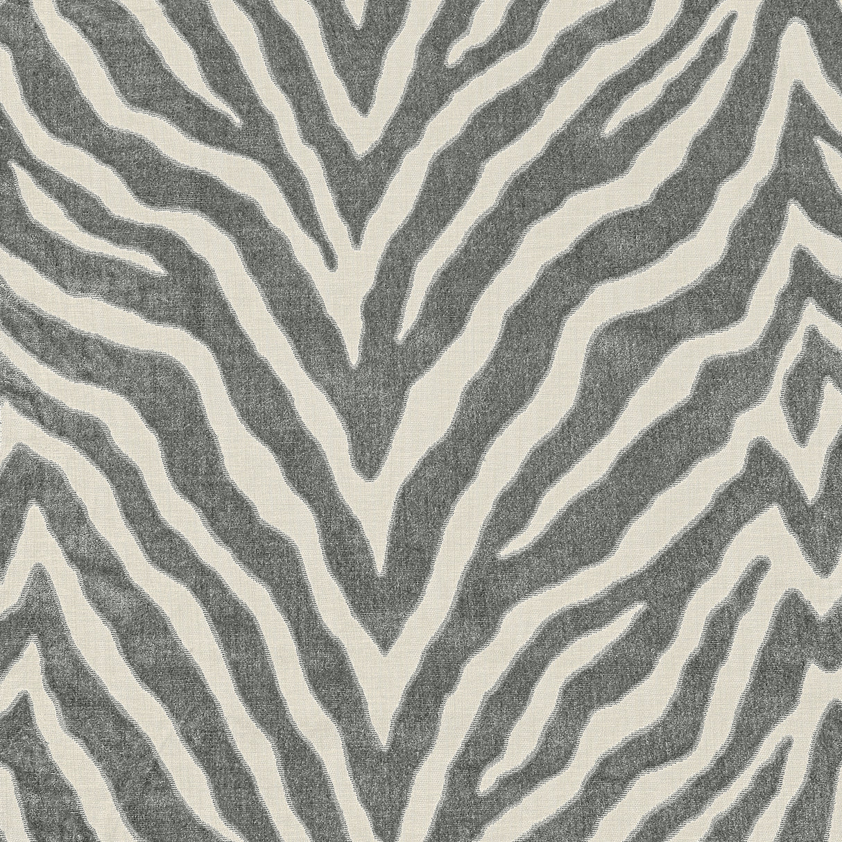 Thibaut W80404 ETOSHA VELVET Graphite Fabric