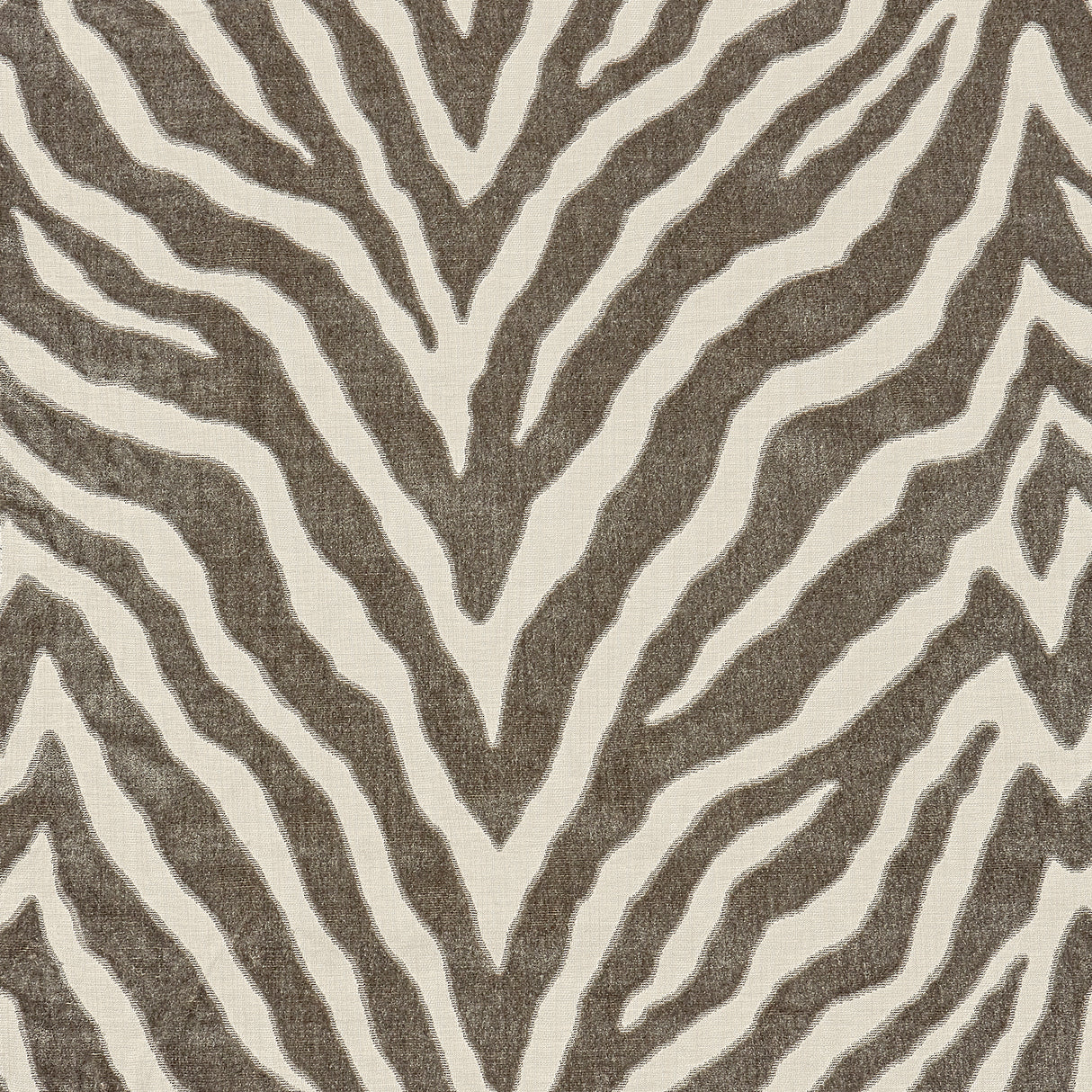 Thibaut W80405 ETOSHA VELVET Taupe Fabric
