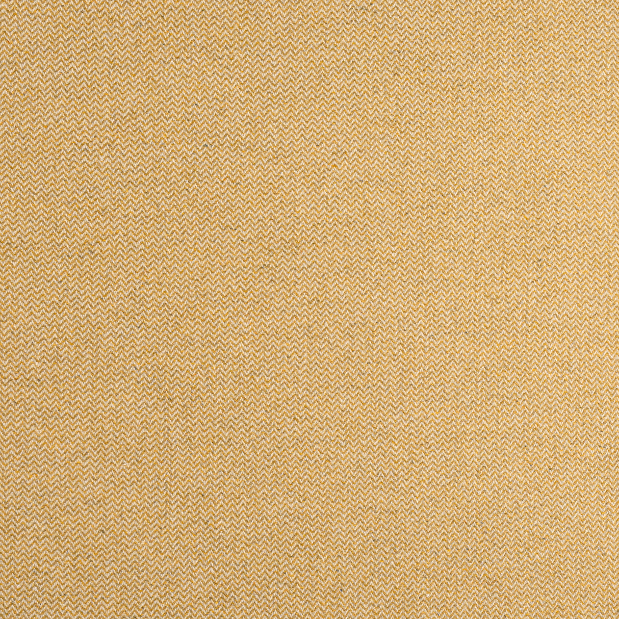 Thibaut W80905 DORSET Honey Fabric