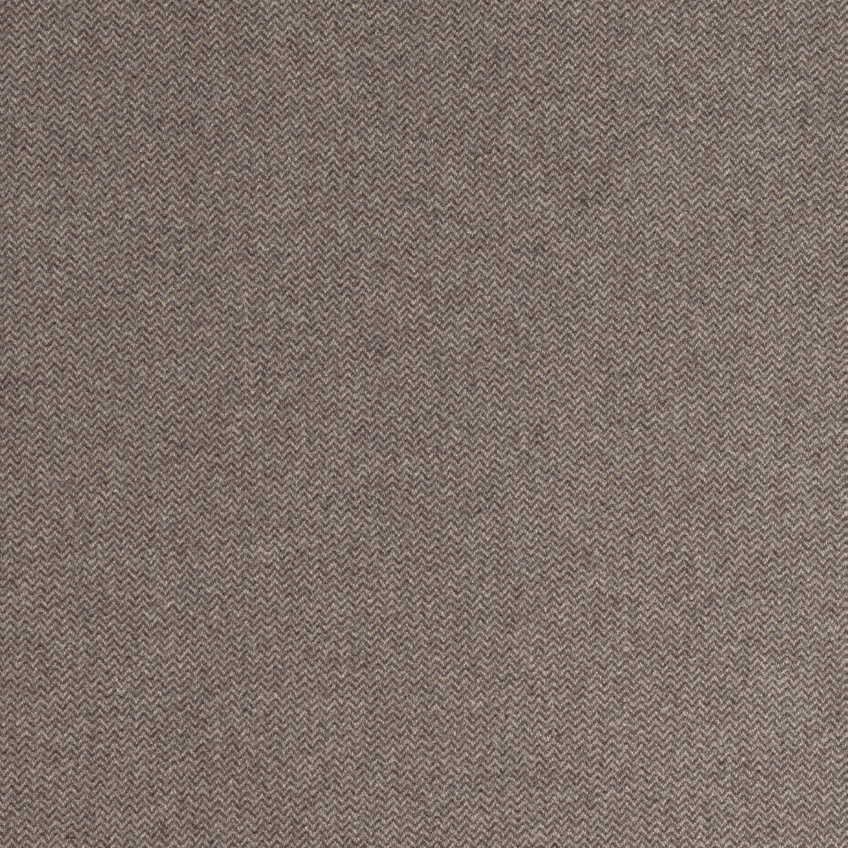 Thibaut W80917 DORSET Acorn Fabric