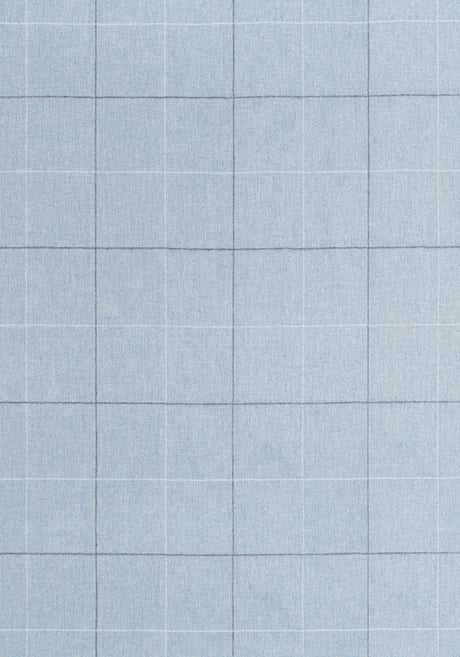 Thibaut W8105 RAVELLO Sky Fabric