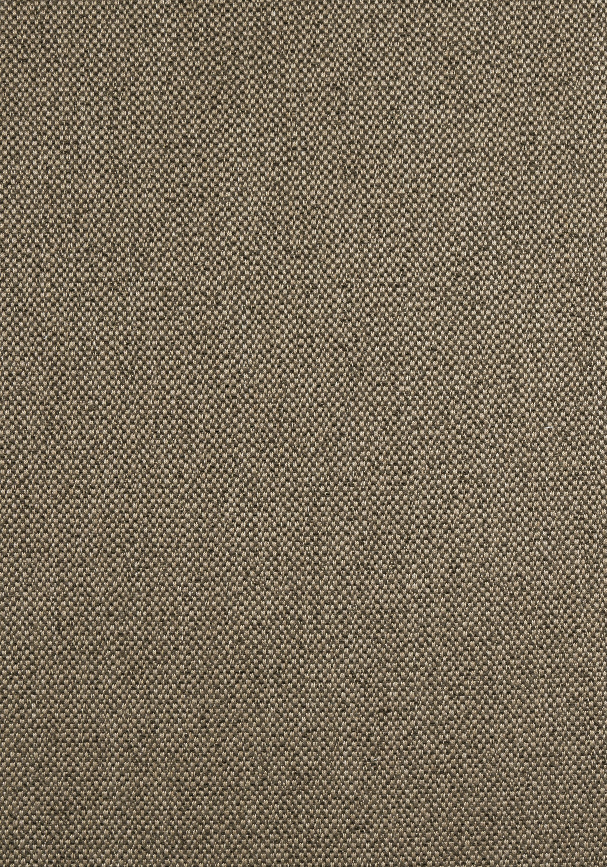 Thibaut W8129 TINTA Mocha Fabric