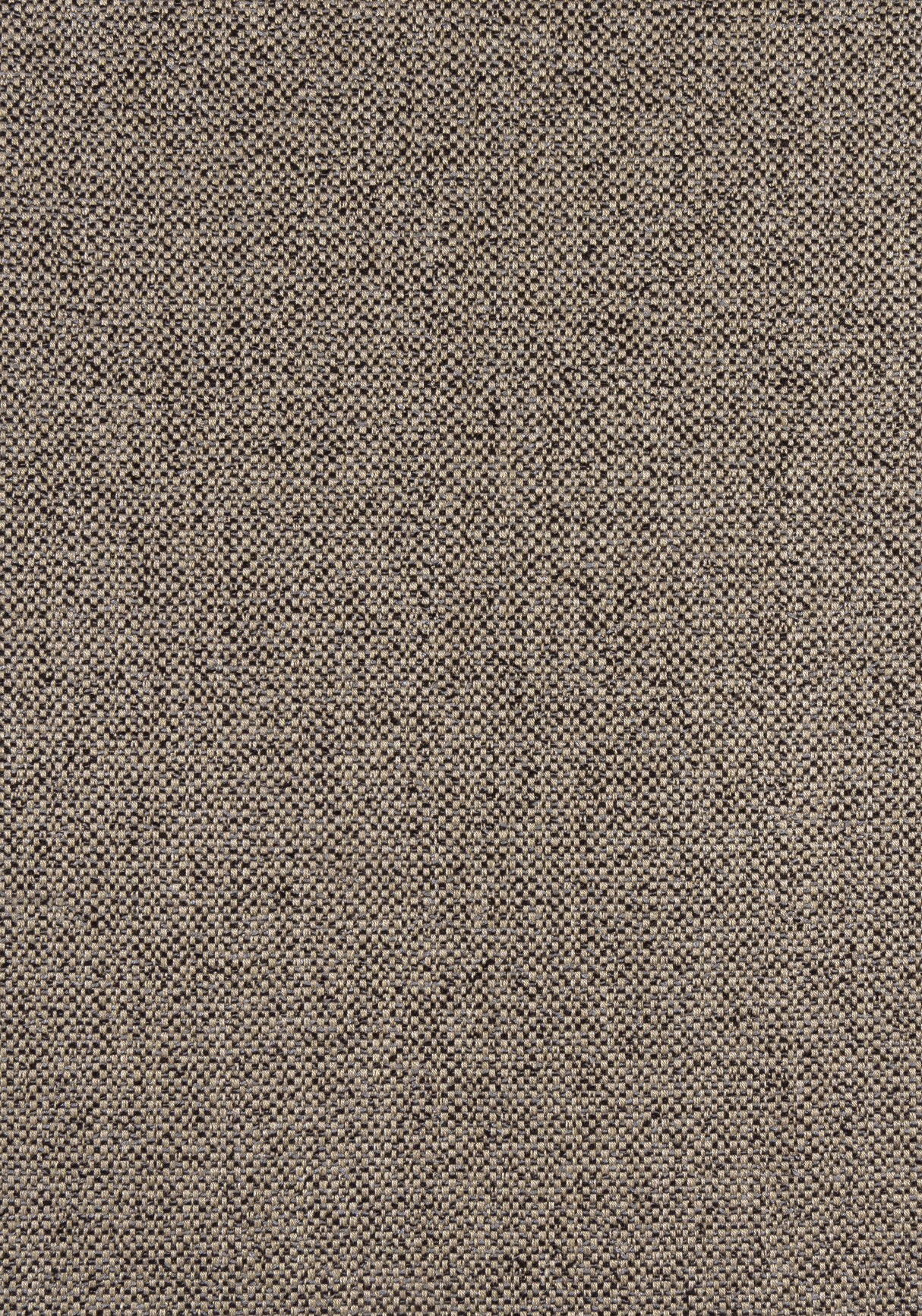 Thibaut W8130 TINTA Pebble Fabric