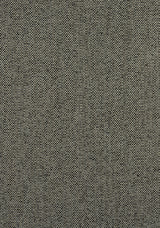 Thibaut W8131 TINTA Onyx Fabric