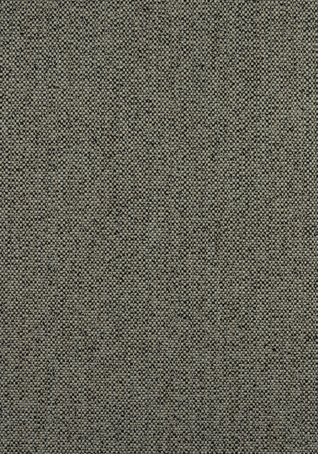 Thibaut W8131 TINTA Onyx Fabric