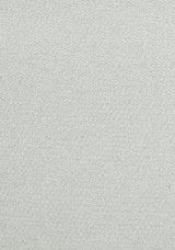 Thibaut W8138 DOLCETTO Platinum Fabric