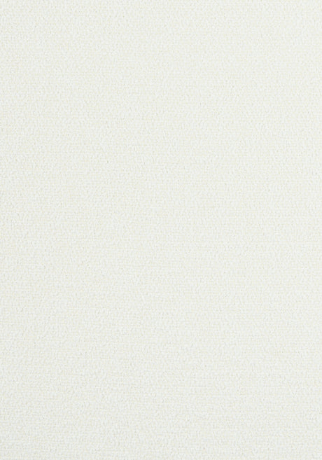 Thibaut W8145 DOLCETTO Frost Fabric