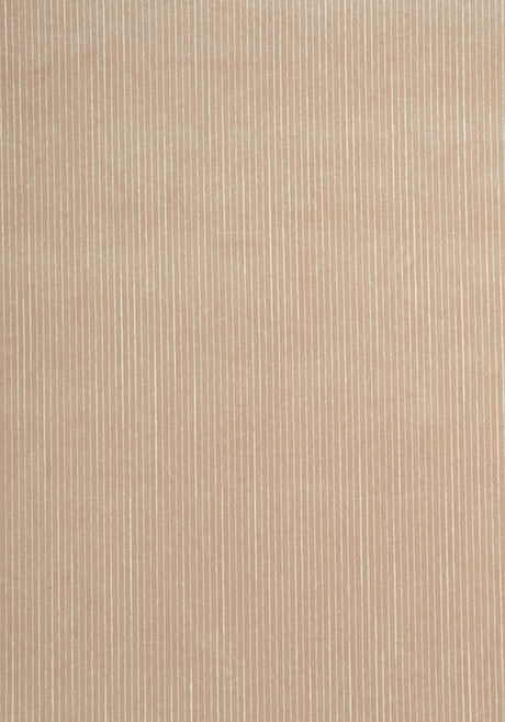 Thibaut W8149 FINO VELVET Cashmere Fabric