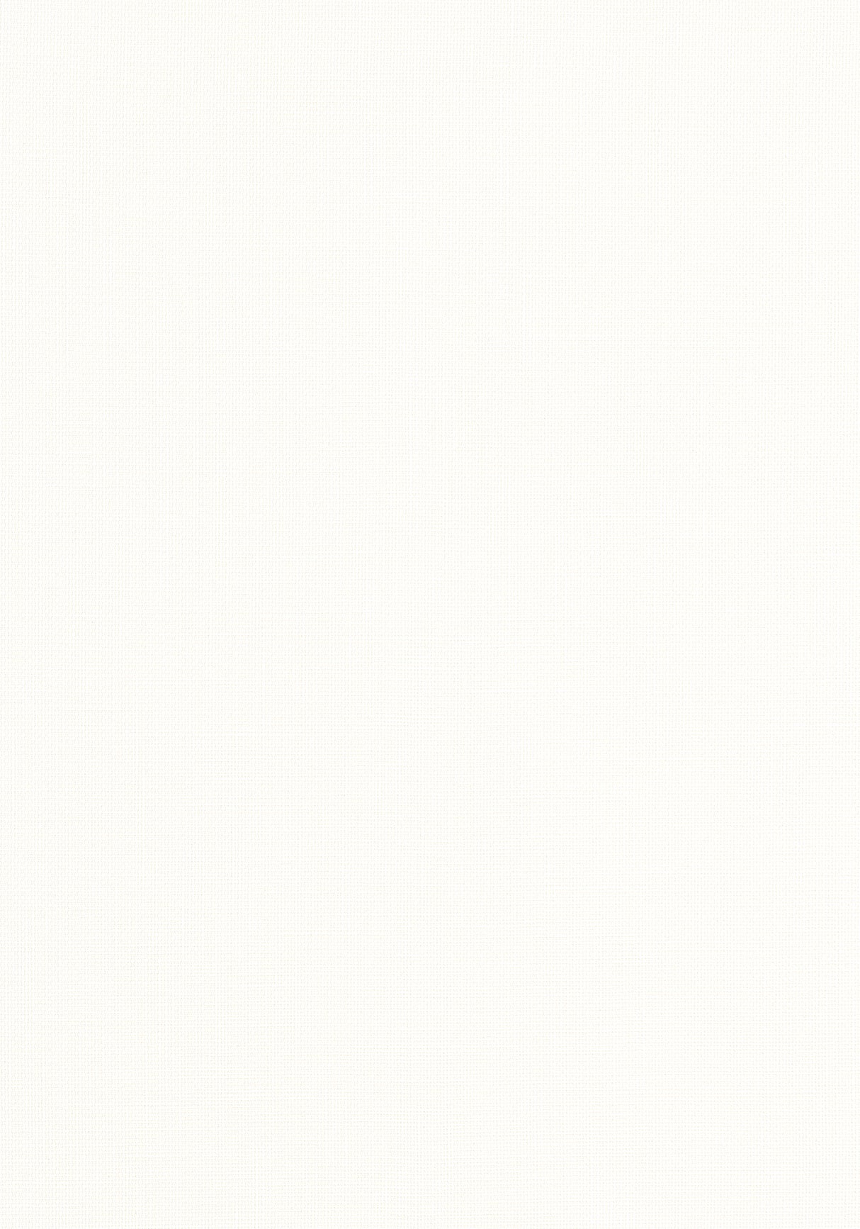 Thibaut W81678 BRYNN Natural Fabric