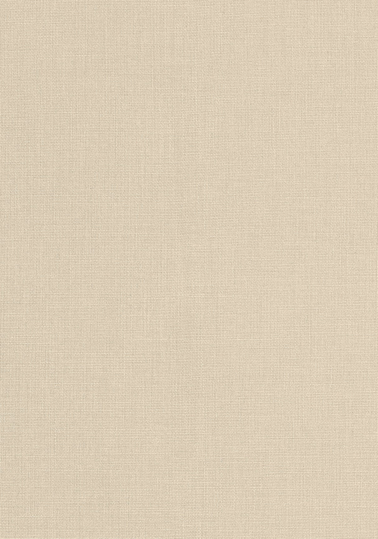 Thibaut W81679 BRYNN Sand Fabric