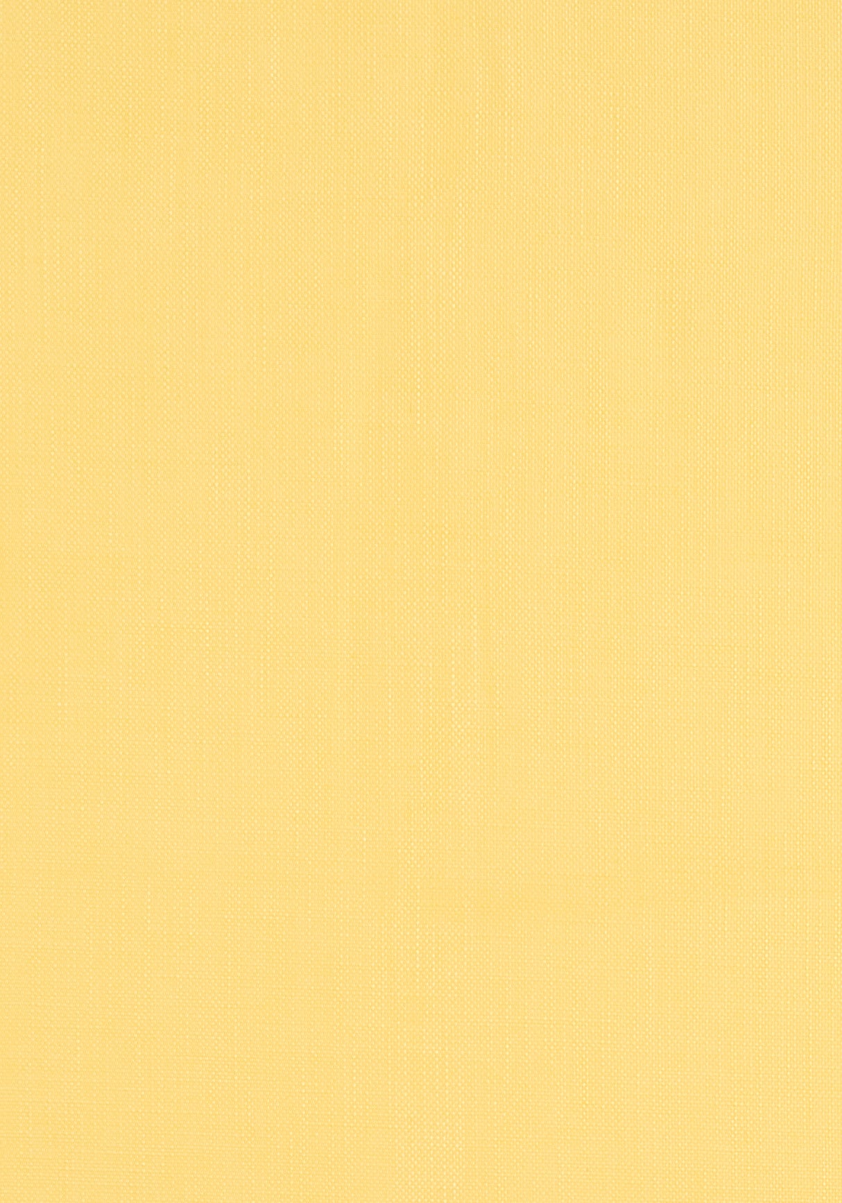 Thibaut W81680 BRYNN Daisy Fabric