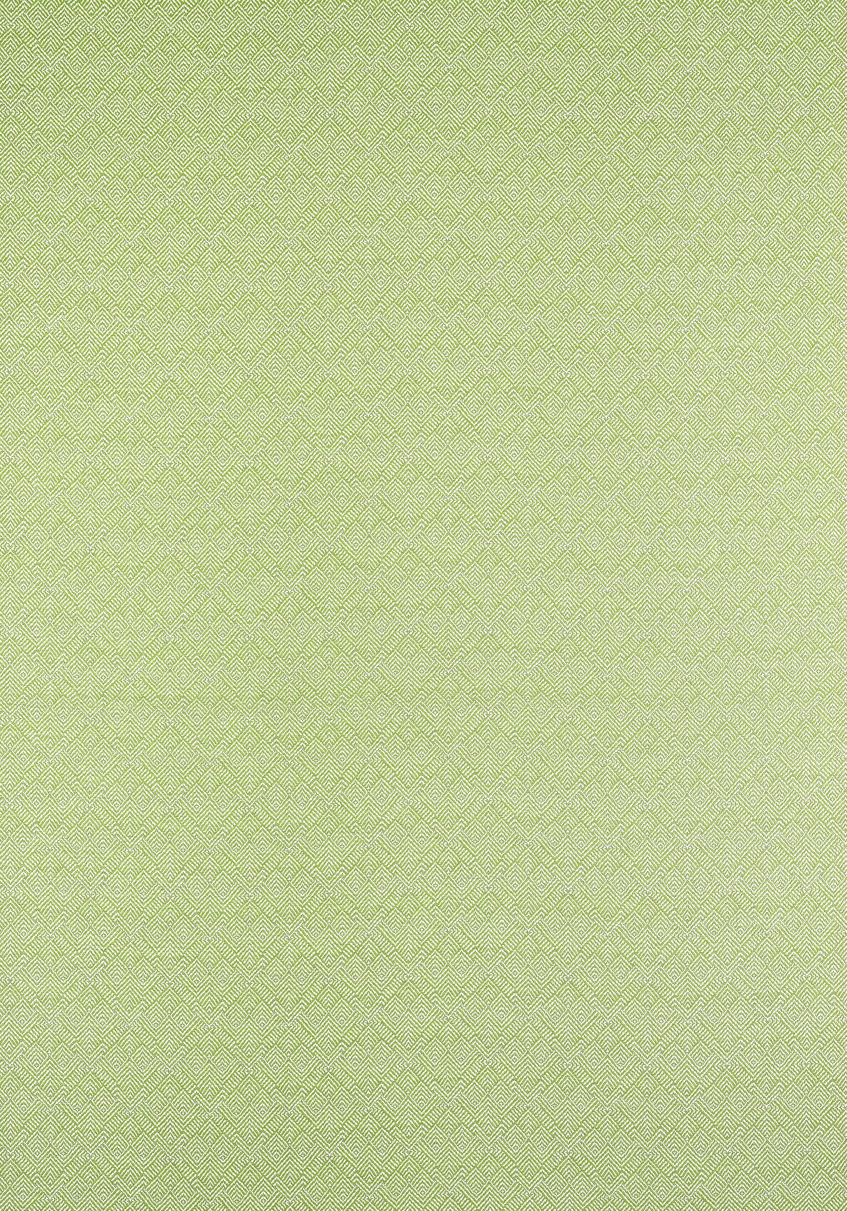 Thibaut W81716 CALISTA Kiwi Fabric