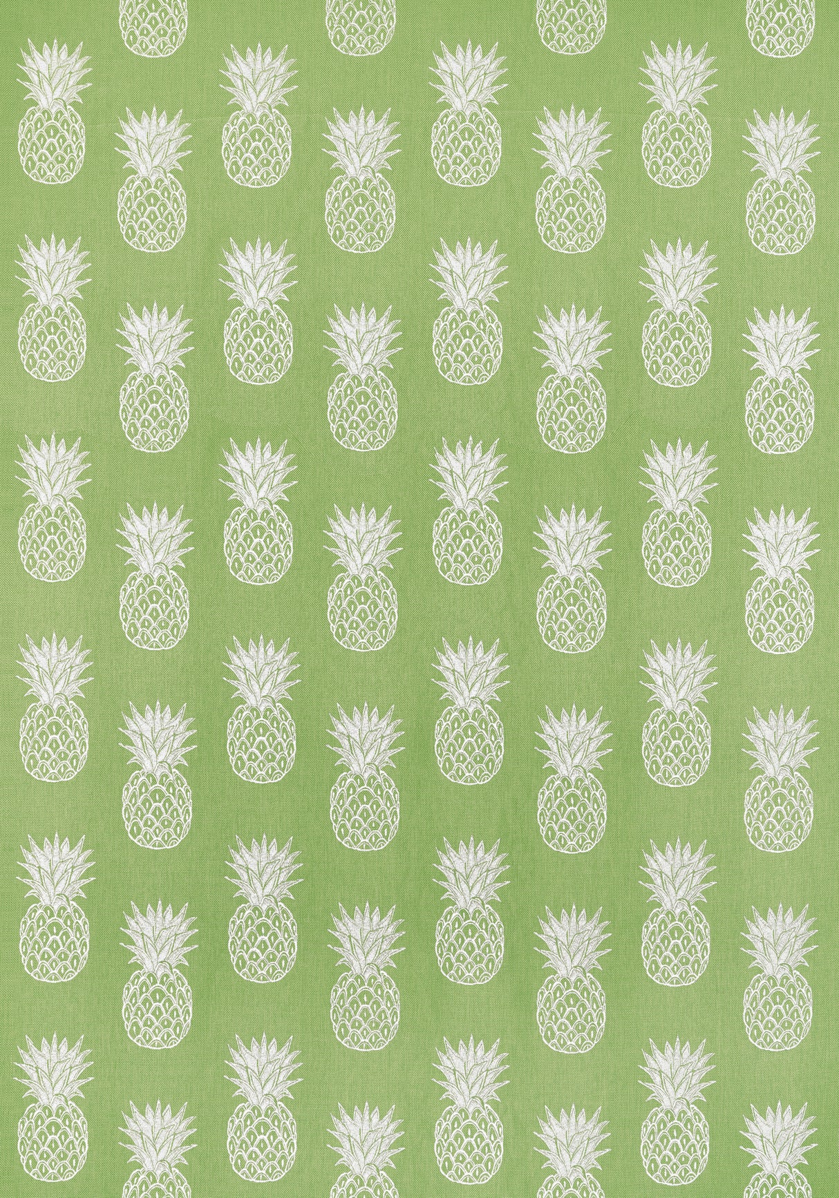 Thibaut W81747 PINA COLADA Kiwi Fabric