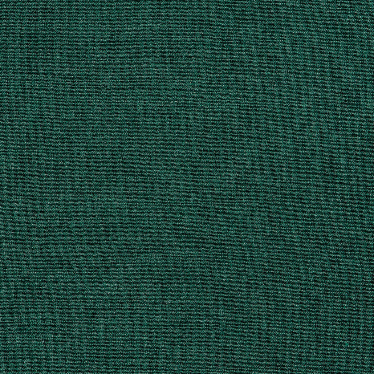 Thibaut W8583 TELA Forest Fabric