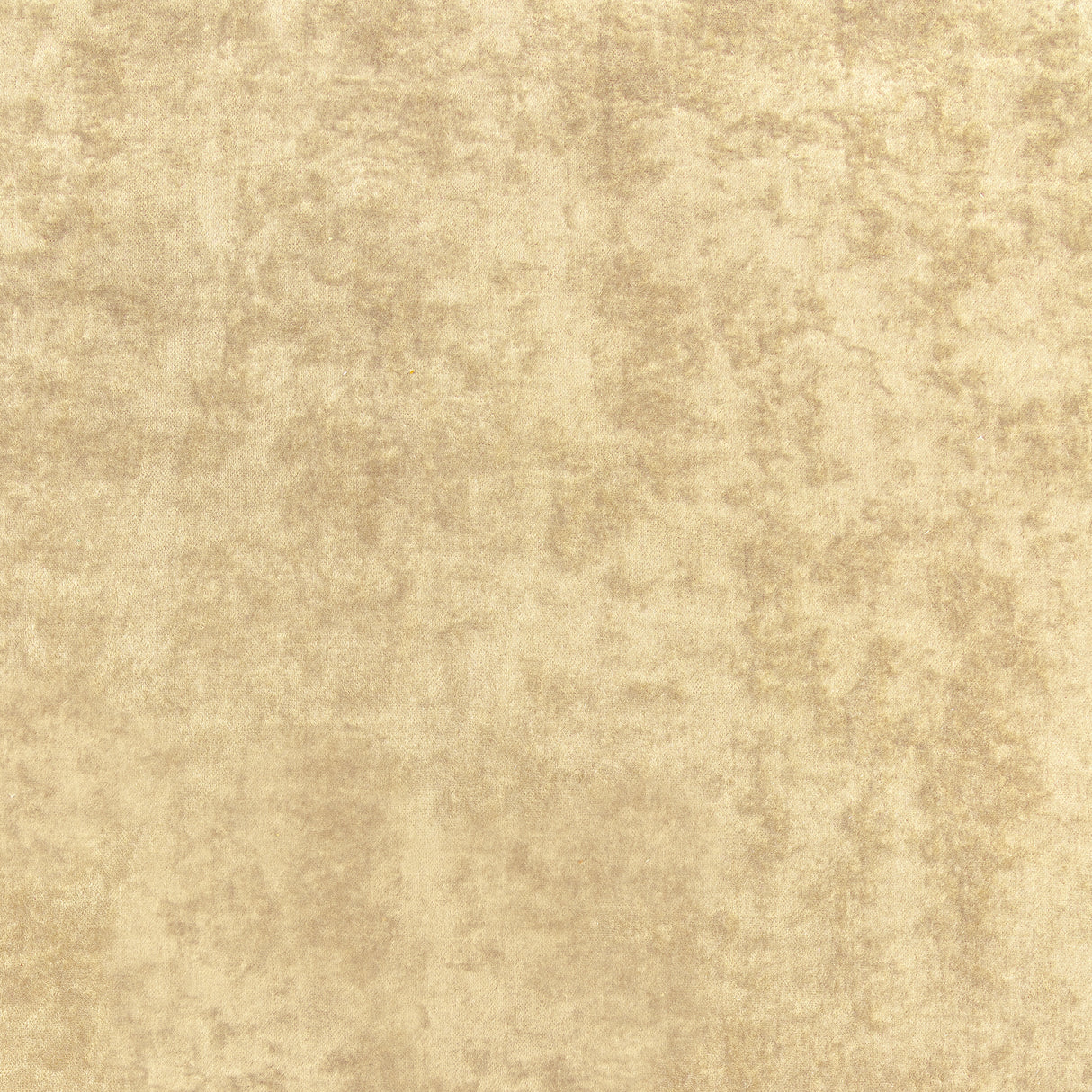 Thibaut W8968 CELESTE VELVET Camel Fabric