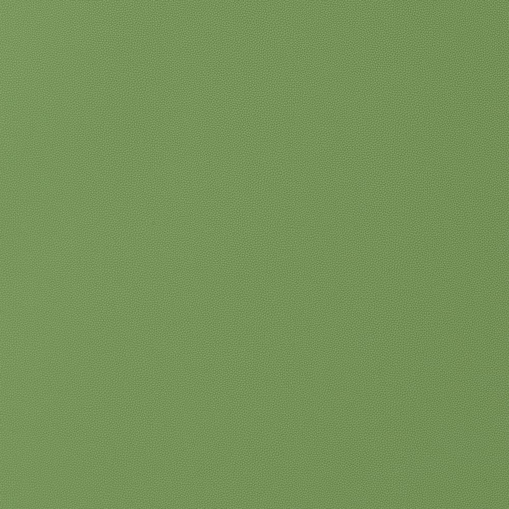 Thibaut W9028 SALTA Kiwi Fabric