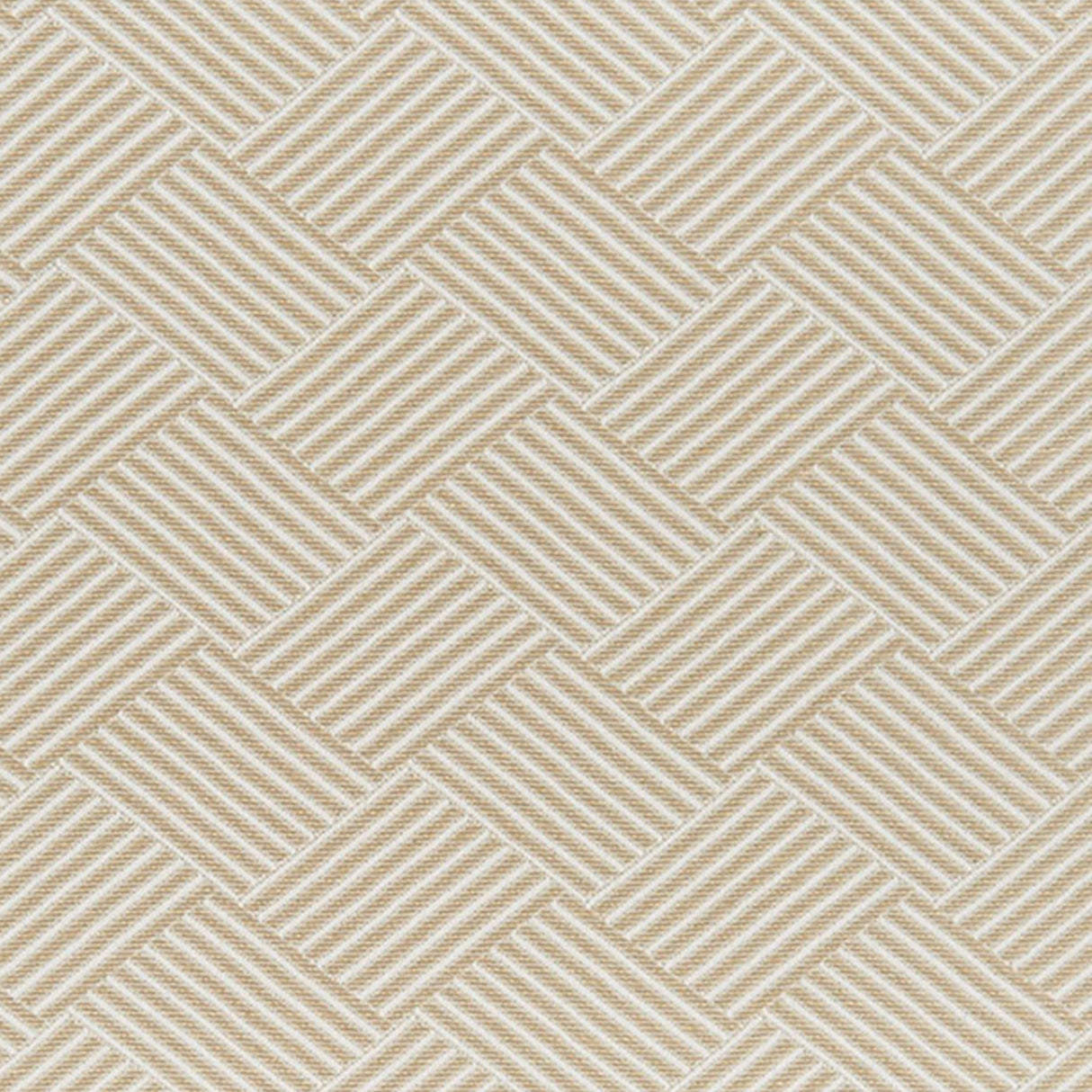 crypton-home 31-J7721 WALDO Fabric