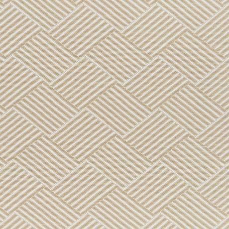 crypton-home 31-J7721 WALDO Fabric