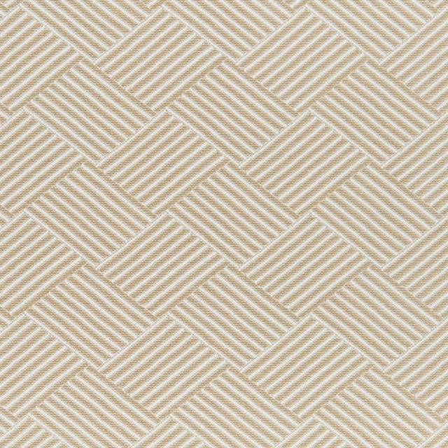 crypton-home 31-J7721 WALDO Fabric