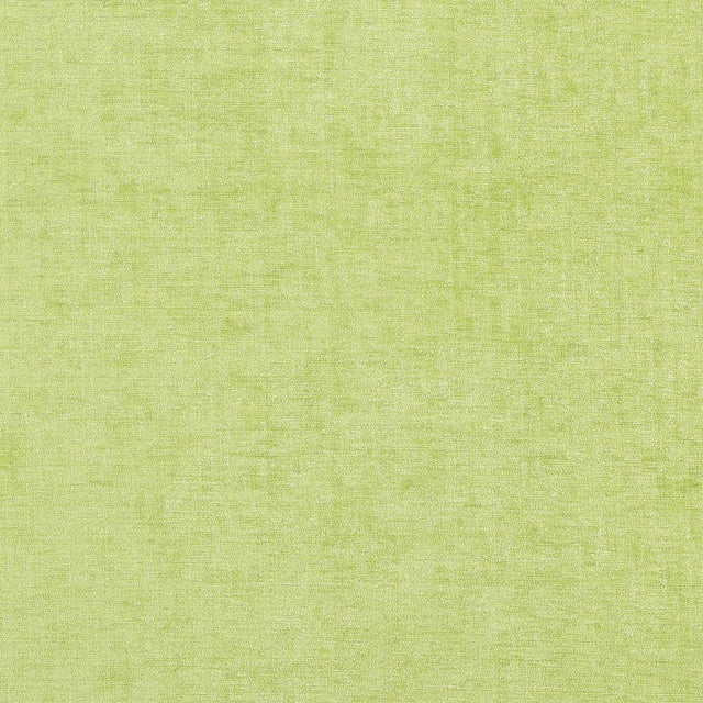 JF Fabrics 73-J7081 WARRIOR Fabric - Eade's Wallpaper & Fabric