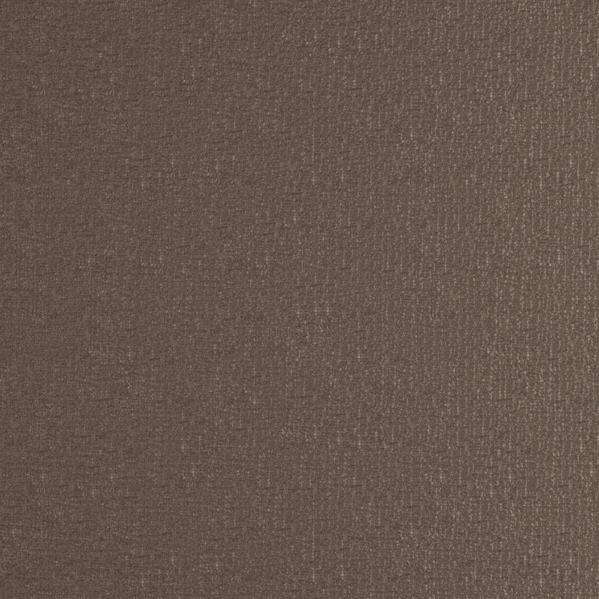 Eade’s # 02 MUSHROOM