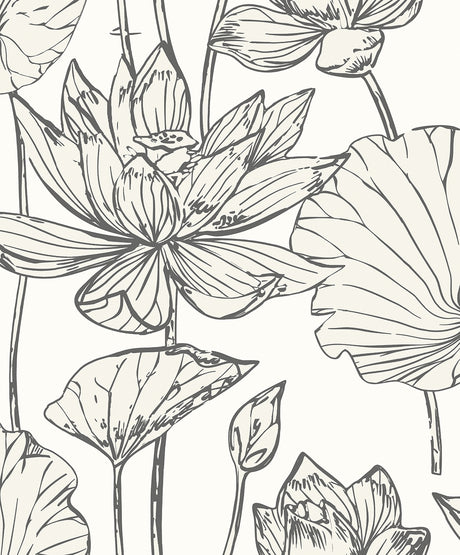 Seabrook Designs WH40720 Viola Floral Wallpaper