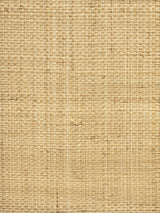 Scalamandre WHN00ABY0392 NATURAL HINSON MADAGASCAR - GRAND WALLPAPER - Eade's Wallpaper