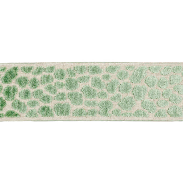 Eade’s WILDER TAPE CARIBBEAN GREEN CARIBBEAN GREEN