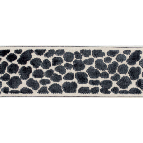 Eade’s WILDER TAPE FOSSIL FOSSIL