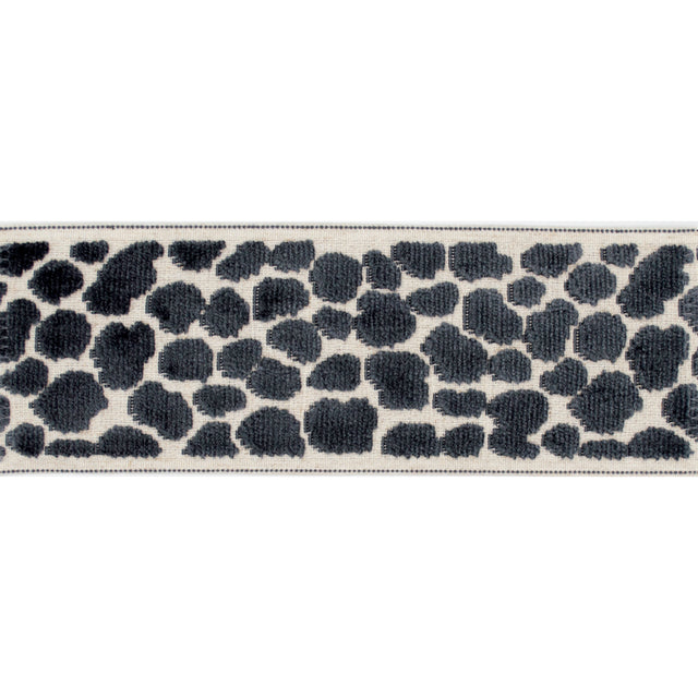 Eade’s WILDER TAPE FOSSIL FOSSIL