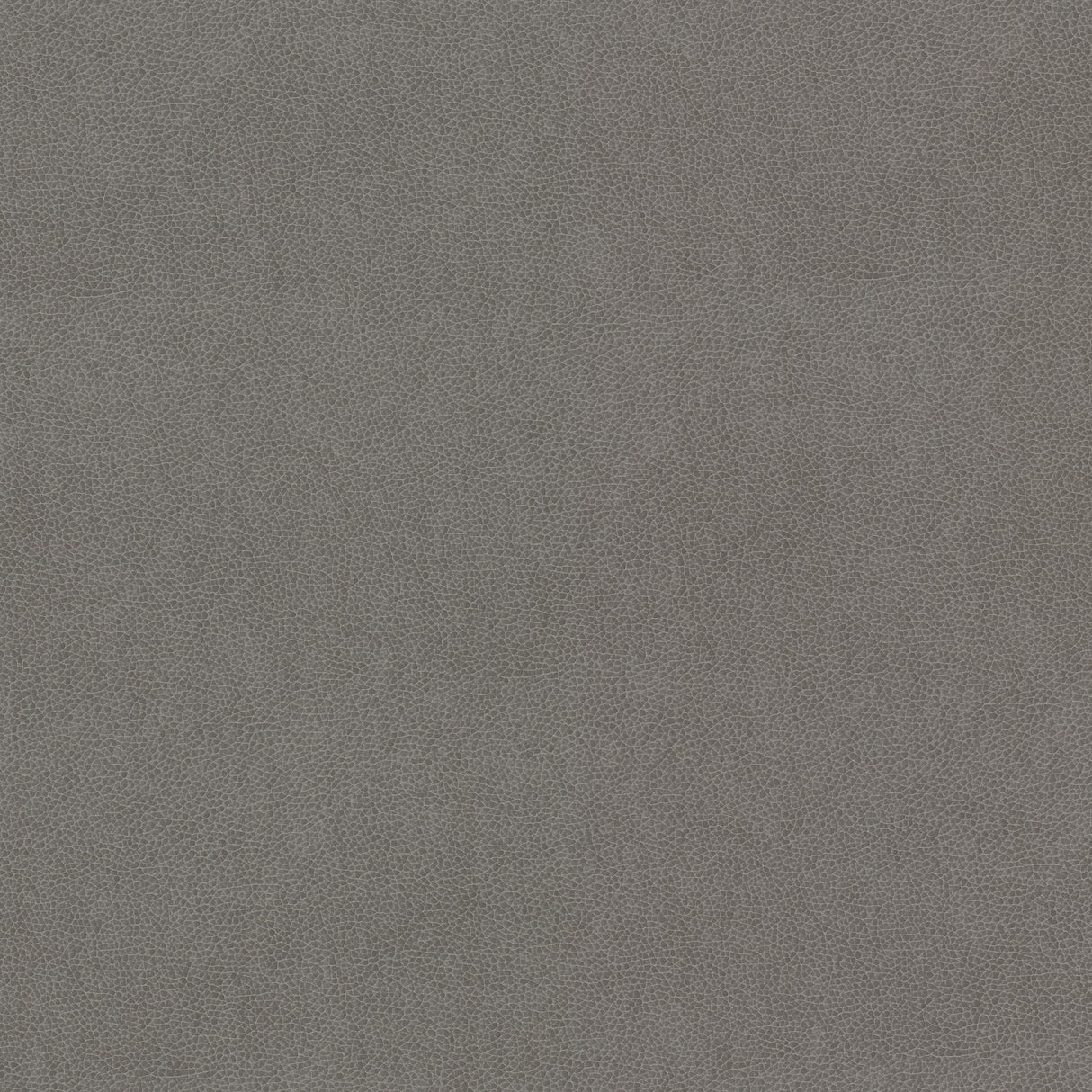 STOUT WILK-2 WILKINSON 2 DOVE Fabric - Eades Wallpaper & Fabric