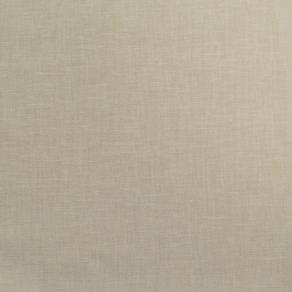 Eade’s WILKES QUARTZ QUARTZ