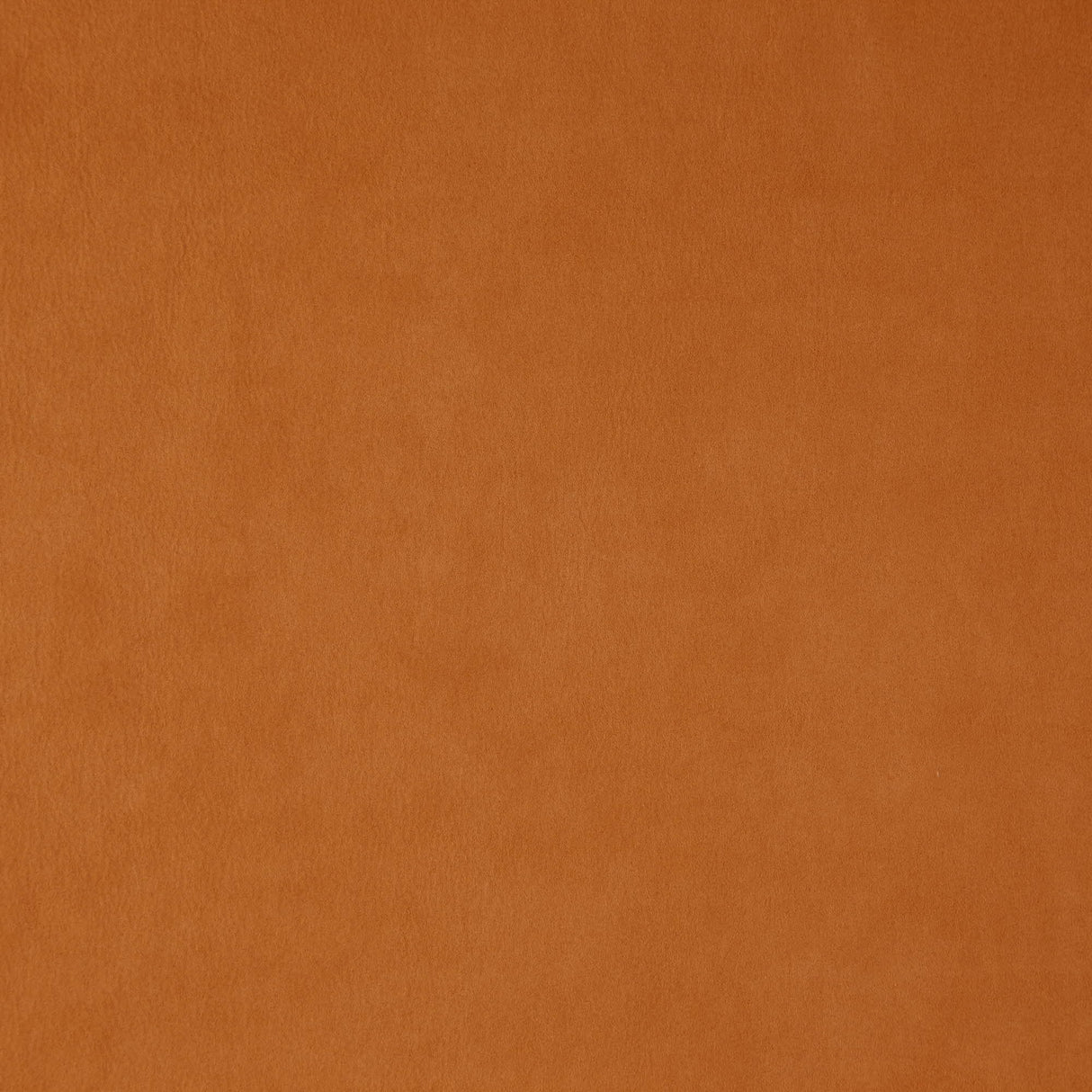 JF Fabrics 26-J7531 WISDOM Fabric - Eade's Wallpaper & Fabric