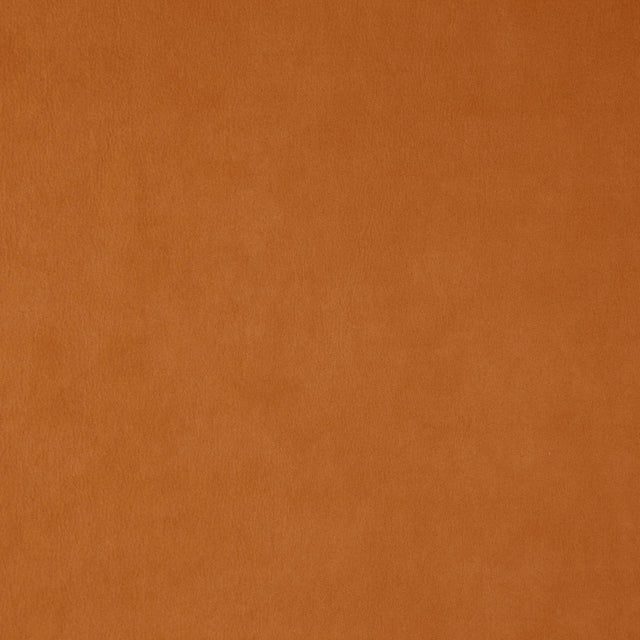JF Fabrics 26-J7531 WISDOM Fabric - Eade's Wallpaper & Fabric