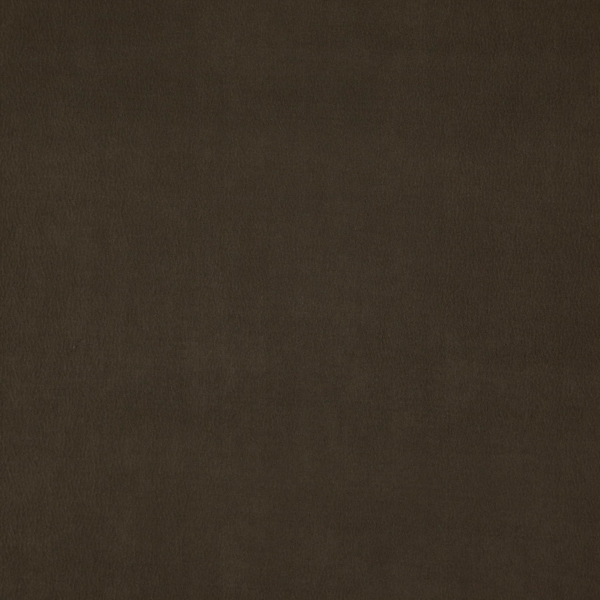 JF Fabrics 38-J7531 WISDOM Fabric - Eade's Wallpaper & Fabric