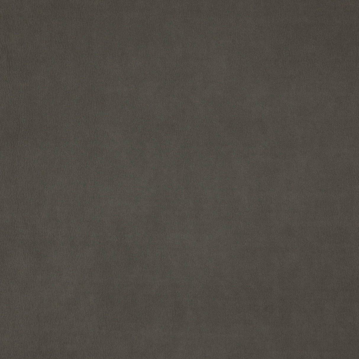 JF Fabrics 95-J7531 WISDOM Fabric - Eade's Wallpaper & Fabric