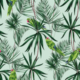 Ohpopsi WLD53124W Pebbles Mint Paradise Wallpaper