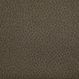 KRAVET CONTRACT WOOLF.106.0 WOOLF ETRUSCAN Fabric - Eade's Wallpaper