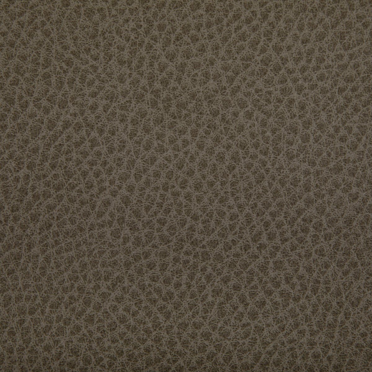 KRAVET CONTRACT WOOLF.106.0 WOOLF ETRUSCAN Fabric - Eade's Wallpaper