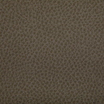 KRAVET CONTRACT WOOLF.106.0 WOOLF ETRUSCAN Fabric - Eade's Wallpaper