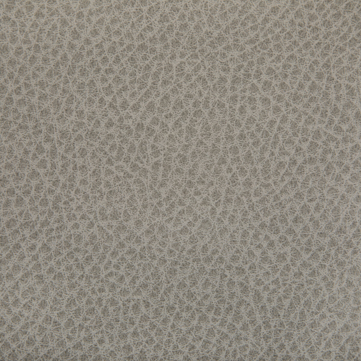 KRAVET CONTRACT WOOLF.11.0 WOOLF PORCINI Fabric - Eade's Wallpaper