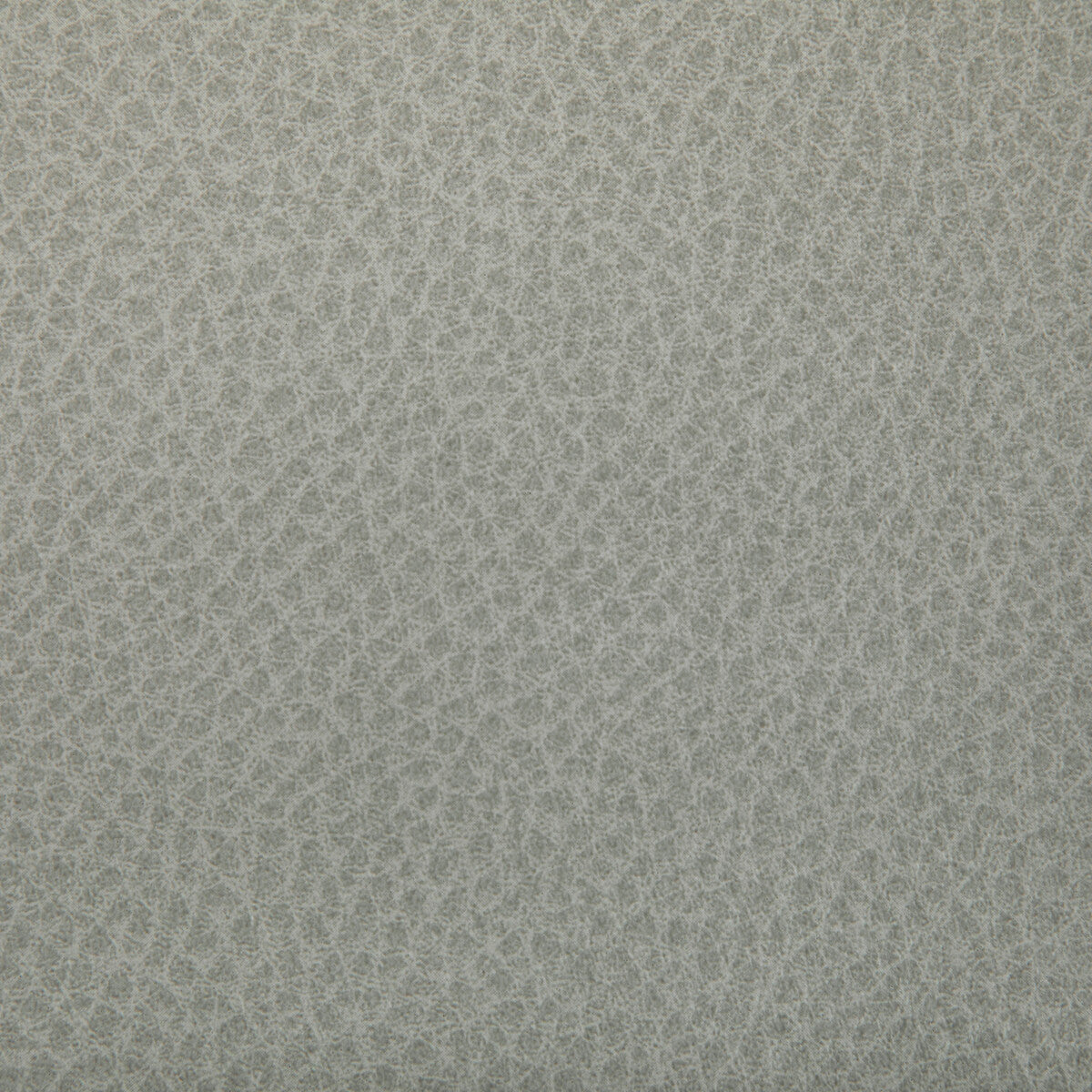 KRAVET CONTRACT WOOLF.1101.0 WOOLF OVERCAST Fabric - Eade's Wallpaper