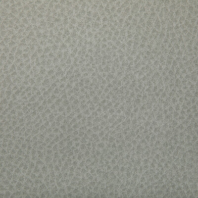 KRAVET CONTRACT WOOLF.1101.0 WOOLF OVERCAST Fabric - Eade's Wallpaper