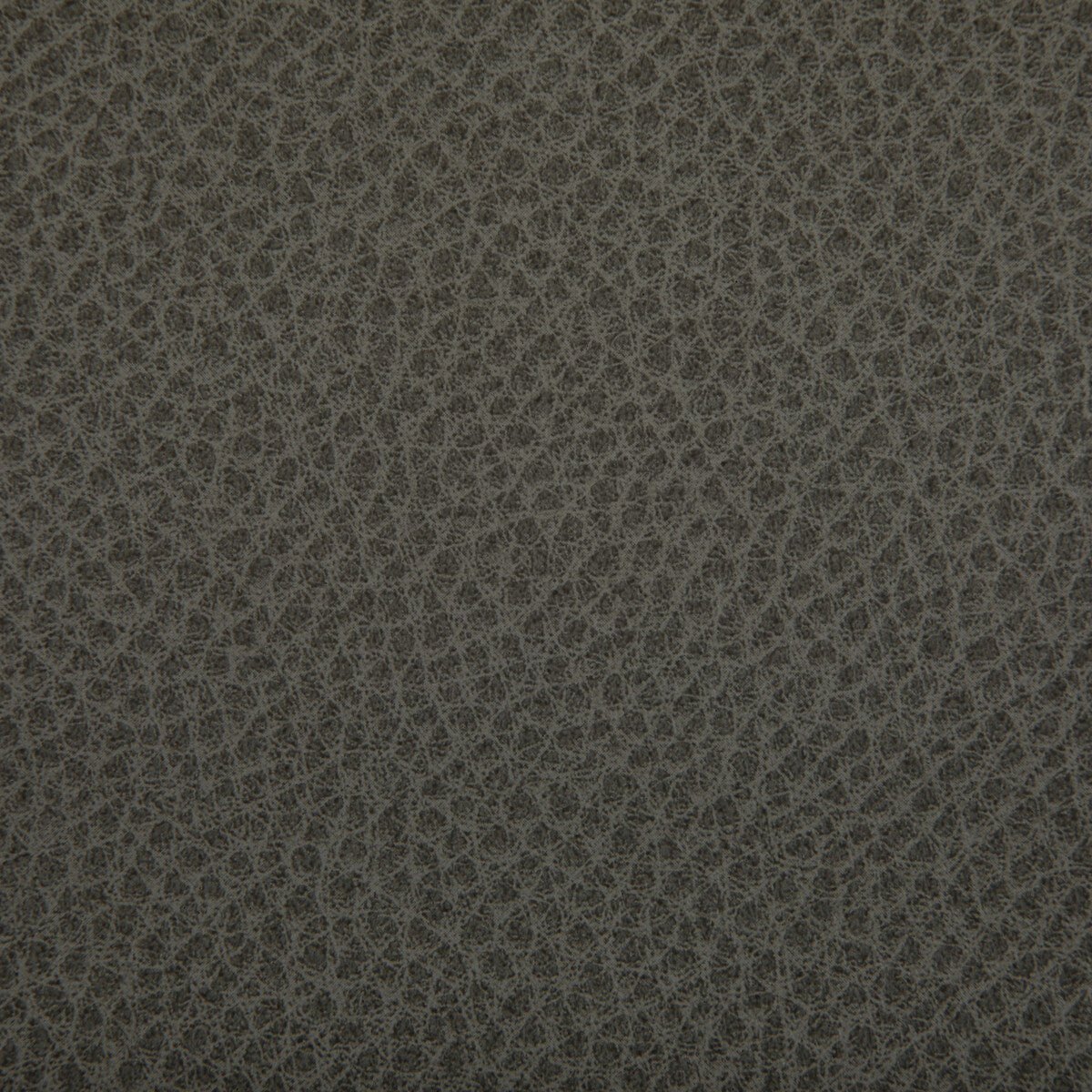 KRAVET CONTRACT WOOLF.1121.0 WOOLF HAWK Fabric - Eade's Wallpaper