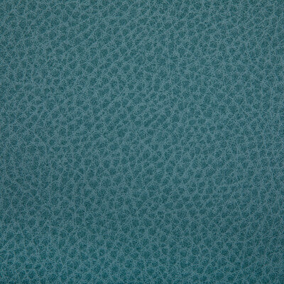 KRAVET CONTRACT WOOLF.113.0 WOOLF POOL Fabric - Eade's Wallpaper
