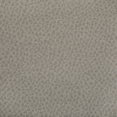KRAVET CONTRACT WOOLF.11.0 WOOLF PORCINI Fabric - Eade's Wallpaper